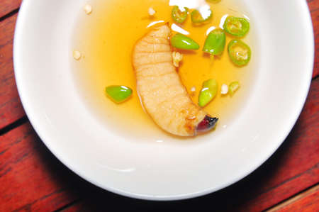 レッド パーム ゾウムシの幼虫またはココナッツ ワームまたはビンズオン ドゥアやサゴ ワーム ヤシオオオサゾウムシ ベトナムから の写真素材 画像素材 Image