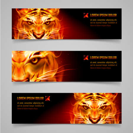 Набор баннеров. Fire Tiger сообщение. Черный фон