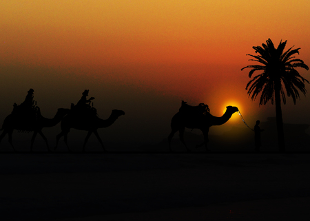 christmas card with three camels in a sunset desert landscape with palm tree we three - Palm Tree Christmas Cards christmas card with three camels in a sunset desert landscape with palm tree we three - Palm Tree Christmas Cards