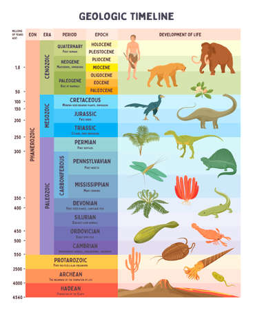 Geologische tijdlijn schaal vectorillustratie Stockfoto