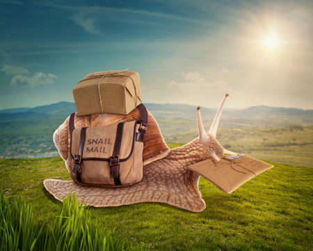 Snail mail on the meadow