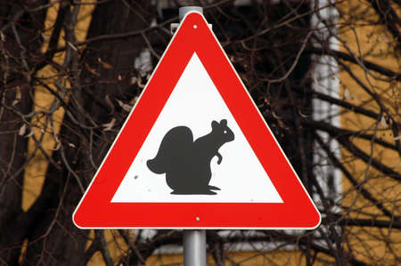 Caution squirrel crossing sign, red triangle with squirrel pictogram, blurred tree branches in the back Stock Photo
