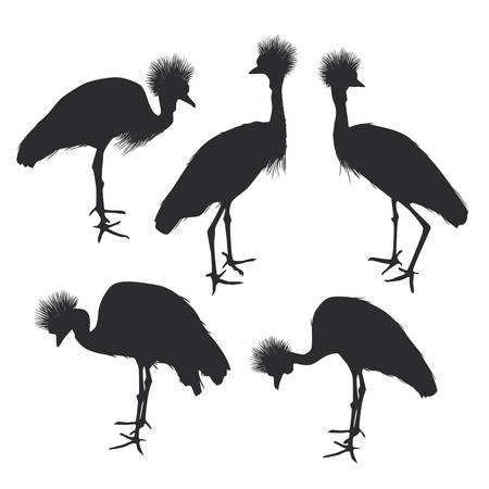 クレーン鳥と羽詳細なシルエット コレクションの背景イラストのイラスト素材 ベクタ Image 1693 クレーン鳥と羽詳細なシルエット コレクションの背景イラストのイラスト素材 ベクタ Image 1693