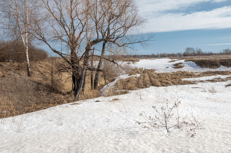 春の森 枯れた草 最後の雪 暖かい春の日 デスクトップの壁紙に この写真良いデザイン ソリューション の写真素材 画像素材 Image 41474881