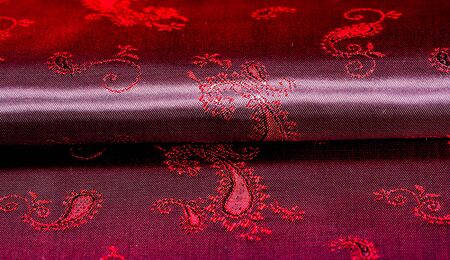 Silk Charmeuse Fabric Red Paisley