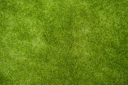 green grass background golf green grass background flat texture stock photo 22815402 green grass background texture photo picture and green grass background golf green grass background flat texture stock photo 22815402 green grass background texture photo picture and