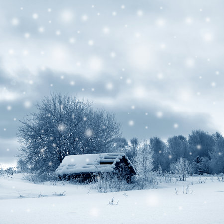 冬の画像 晴れた寒い日の木のある風景 の写真素材 画像素材 Image 冬の画像 晴れた寒い日の木のある風景 の写真素材 画像素材 Image