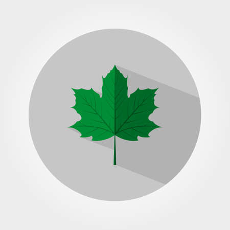 緑のカエデの葉 Web およびモバイル アプリケーションのアイコン 白の背景にベクトル イラスト フラットなデザイン スタイル のイラスト素材 ベクタ Image