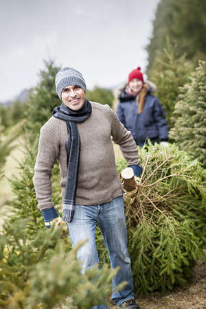 man dragging fresh spruce at cut your own christmas tree farm cut your own christmas tree nh