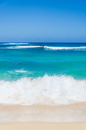 海と熱帯の砂浜背景 ハワイ カウアイ島 の写真素材 画像素材 Image 海と熱帯の砂浜背景 ハワイ カウアイ島 の写真素材 画像素材 Image