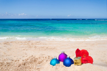 merry christmas and happy new year background with gift flower merry christmas hawaii