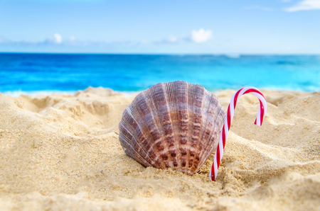 merry christmas and happy new year background candy and seashell on the tropical beach near - Merry Christmas In Hawaii merry christmas and happy new year background candy and seashell on the tropical beach near - Merry Christmas In Hawaii
