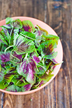 purple spinach leaves in a bowl fresh mix of green and purple
