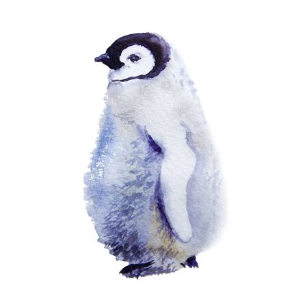 水彩イラスト 皇帝ペンギン 白い背景に分離 の写真素材 画像素材 Image