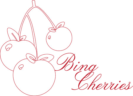 enjoy the colorful cherry outline designs by embroidery patterns