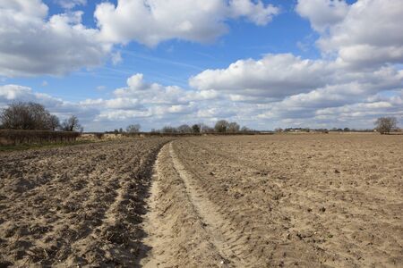 ふわふわ雲と青空英語風景で畑の土壌の上 の写真素材 画像素材 Image ふわふわ雲と青空英語風景で畑の土壌の上 の写真素材 画像素材 Image