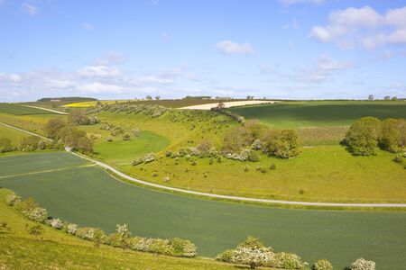 木々 と青い空の下でサンザシ生垣と道路の小さな農村英国の景色 の写真素材 画像素材 Image