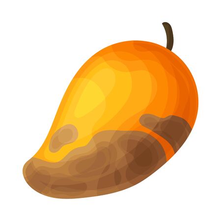 Spoiled and rotten mango fruit with skin covered with stinky rot vector illustration. bad and unhealthy food concept