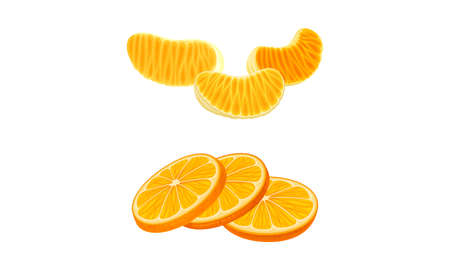 10 024 オレンジを半分に切る のイラスト素材 ベクター 123rf 10 024 オレンジを半分に切る のイラスト素材 ベクター 123rf