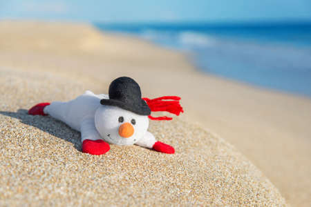 smiley toy snowman at sea beach holiday concept for new years and christmas cards - Beach Christmas Cards smiley toy snowman at sea beach holiday concept for new years and christmas cards - Beach Christmas Cards