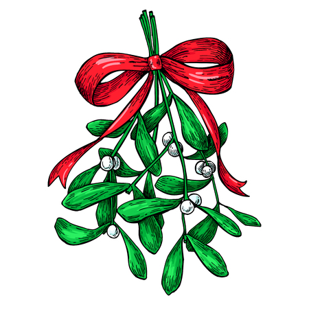 ヤドリギの下でキスをします 装飾植物のクリスマス カード 手には ベクター グラフィックが描画されます 植物クリスマス要素 ヒイラギの葉とベリー カード ポスター 休日の装飾に最適です のイラスト素材 ベクタ Image