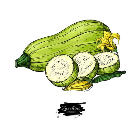 11 558 ズッキーニ のイラスト素材 ベクター 123rf 11 558 ズッキーニ のイラスト素材 ベクター 123rf