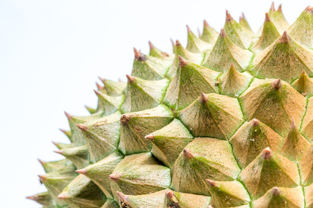 Durian: Đóng lên đến Thorns sầu riêng