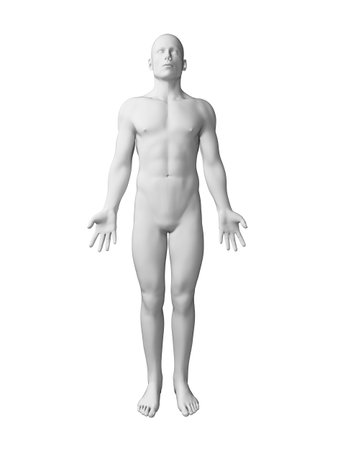 3 D レンダリングされたイラスト 白人男性の体 の写真素材 画像素材 Image