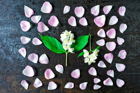 Frame of petals of pink tea roses and jasmine flowers on stone with metallized effect background. Flat lay.