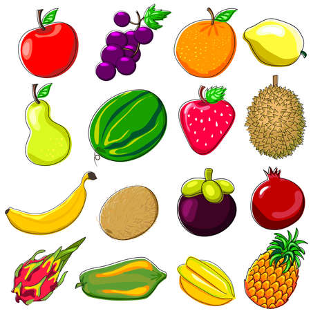 papaya: Nhiều trái cây nhiệt đới tươi Doodle Phong cách minh họa