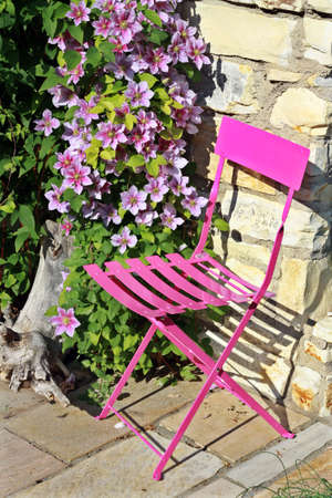 Clématite Rose Et Chaise De Jardin Rose Banque D\'Images Et Photos ... Clématite Rose Et Chaise De Jardin Rose Banque D\'Images Et Photos ...