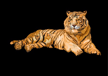 Siberian tiger lying isolated on black backgrount Иллюстрация