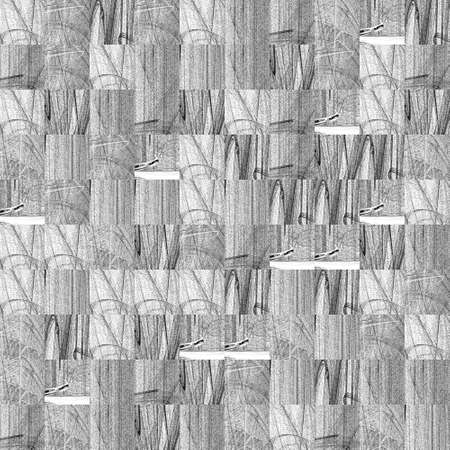 白い背景の黒い抽象のグランジ テクスチャ 騒音をラフします 中規模破損パターンがカオス配置されます の写真素材 画像素材 Image 白い背景の黒い抽象のグランジ テクスチャ 騒音をラフします 中規模破損パターンがカオス配置されます の写真素材 画像素材 Image