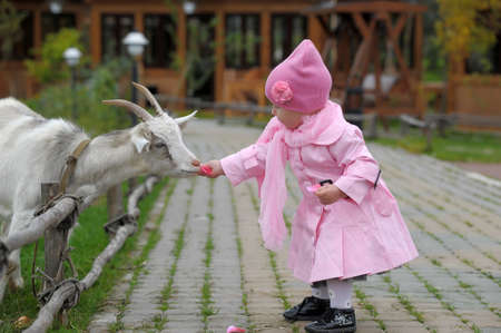 The little girl with a goat