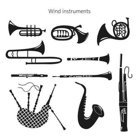 Instrumentos Musicales De Viento Vectores, Ilustraciones y - 123RF