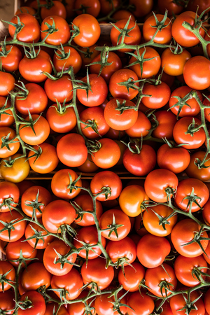 トマトの背景の写真素材・画像素材 Image 16024489