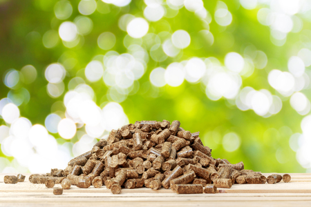 Wood pellets on a green background. biofuels.