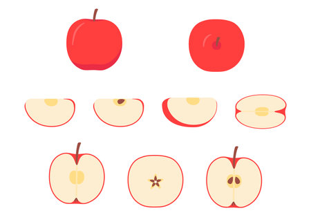 1 740 Apple Peel のイラスト素材 ベクター 123rf