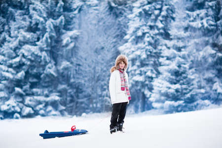 outdoor fun for family christmas vacation happy child enjoying a sleigh ride child sledding school kid riding a sledge - Christmas Vacation Sled outdoor fun for family christmas vacation happy child enjoying a sleigh ride child sledding school kid riding a sledge - Christmas Vacation Sled