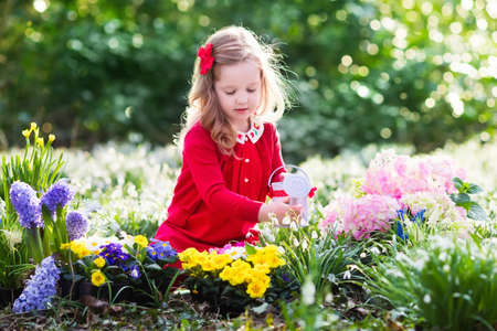 Child planting spring flowers in sunny garden. Little girl gardener plants hyacinth, daffodil, snowdrop in flower bed. Gardening tools and water can for kids. Family with children work in the backyard.