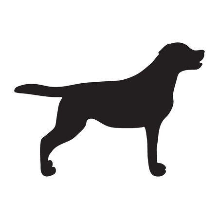 labrador silhouette vector