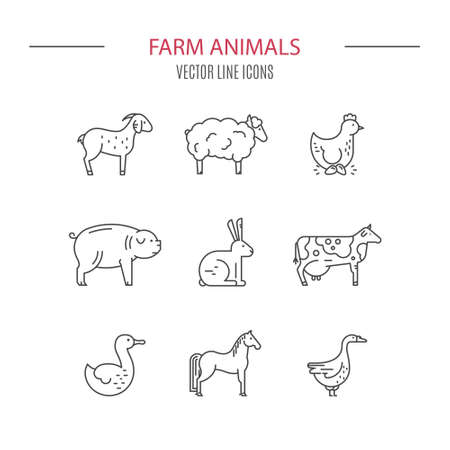 modern vector linear set
