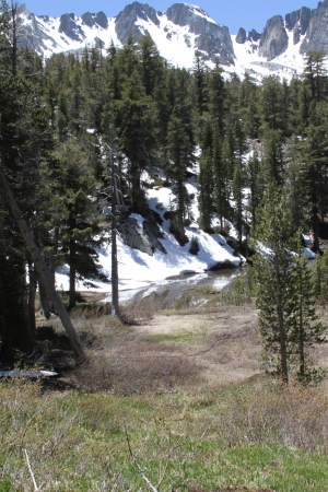 snow capped mountains in trail to emerald lake mammoth lakes