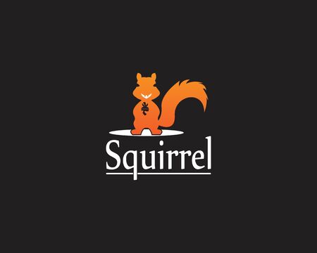 Squirrel image logo symbol vector illustration on black background