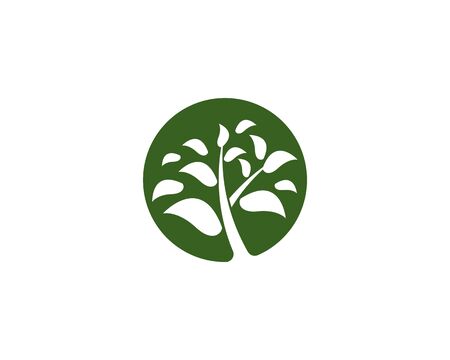 Tree icon logo vector concept on white background Фото со стока