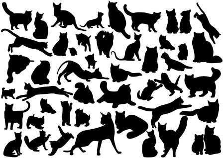 Cats silhouettes set. Vector illustration on EPS 8
