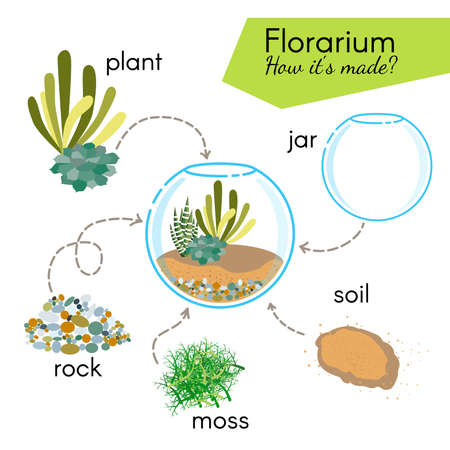 チュートリアル Florarium の作り方 ガラス テラリウム内の多肉植物 Florarium の要素 Jar 植物 岩 コケ 土 ベクトル図 のイラスト素材 ベクタ Image チュートリアル Florarium の作り方 ガラス テラリウム内の多肉植物 Florarium の要素 Jar 植物 岩 コケ 土 ベクトル図 のイラスト素材 ベクタ Image