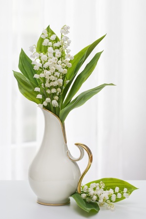 Lilly of the Valley in vase with window light - 11485668