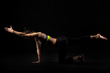 黒いスポーツウェアの美しい若い女性パンツ ワークアウト スポーティなフィット バランスをやって鳥犬 サンバード Chakravakasana Abs 運動し バックの筋肉 スタジオ完全な長さ 黒の背景 の写真素材 画像素材 Image 黒いスポーツウェアの美しい若い女性パンツ ワークアウト スポーティなフィット バランスをやって鳥犬 サンバード Chakravakasana Abs 運動し バックの筋肉 スタジオ完全な長さ 黒の背景 の写真素材 画像素材 Image