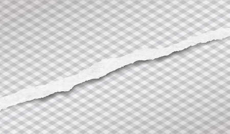 Torn white horizontal paper strip is on squared background vector illustration